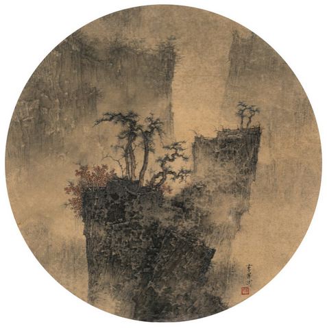 Towering Ancient Trees