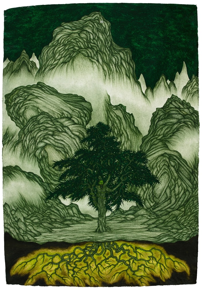 Invidia : Star Night