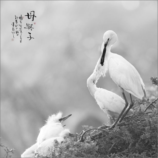 Ma Houquan, Mother and Son, 2013