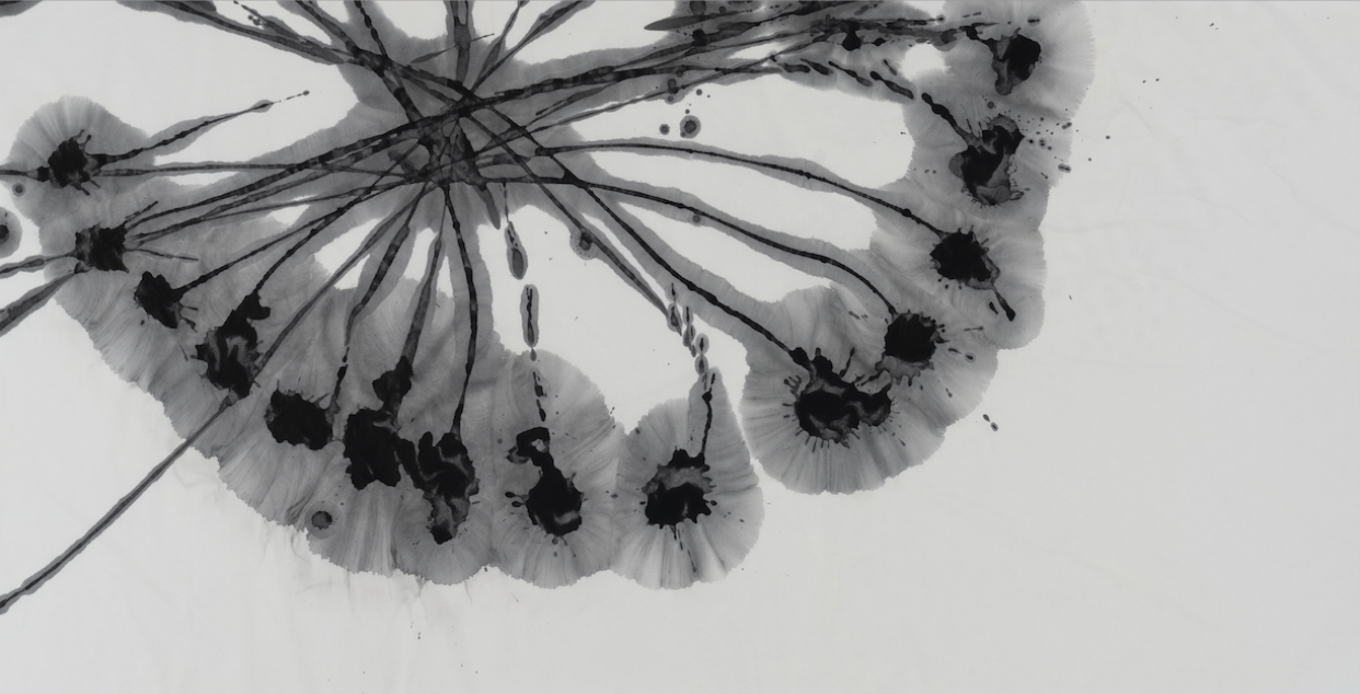 Correlation2024 -vector- #2