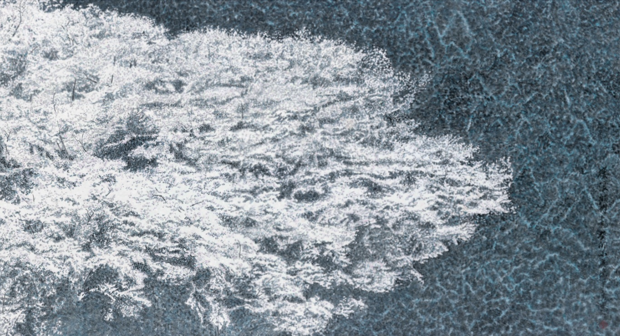 Rhythm of Sakura Waves